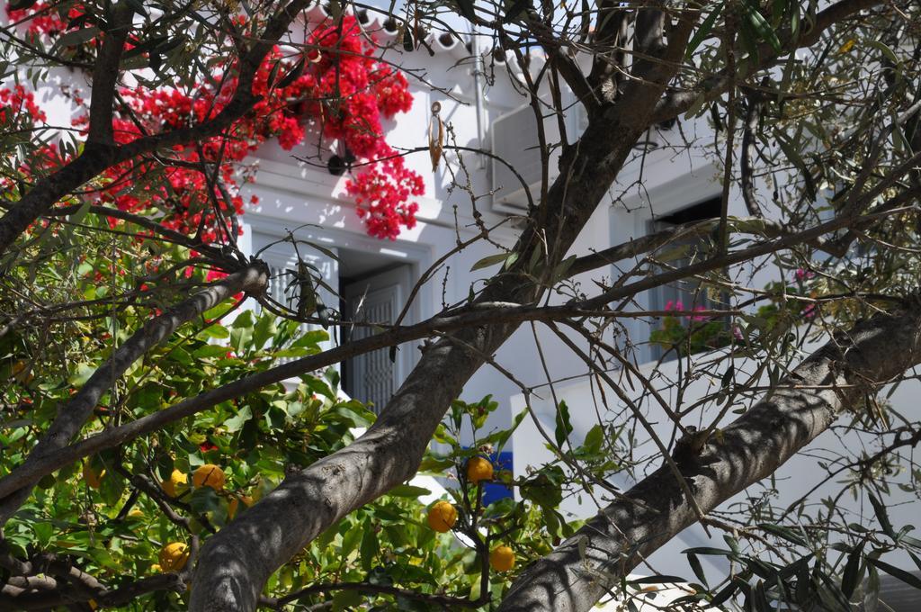 Villa Christina Spétses Exteriér fotografie